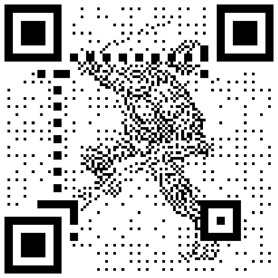 Leonardo QR code for the Teenage Mutant Ninja Turtles (2020) ruleset