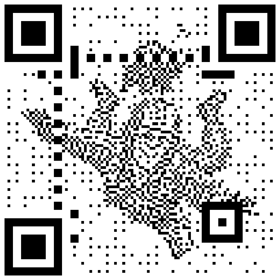 Sky Kings skydiver and eagle QR code for the Sky Kings ruleset