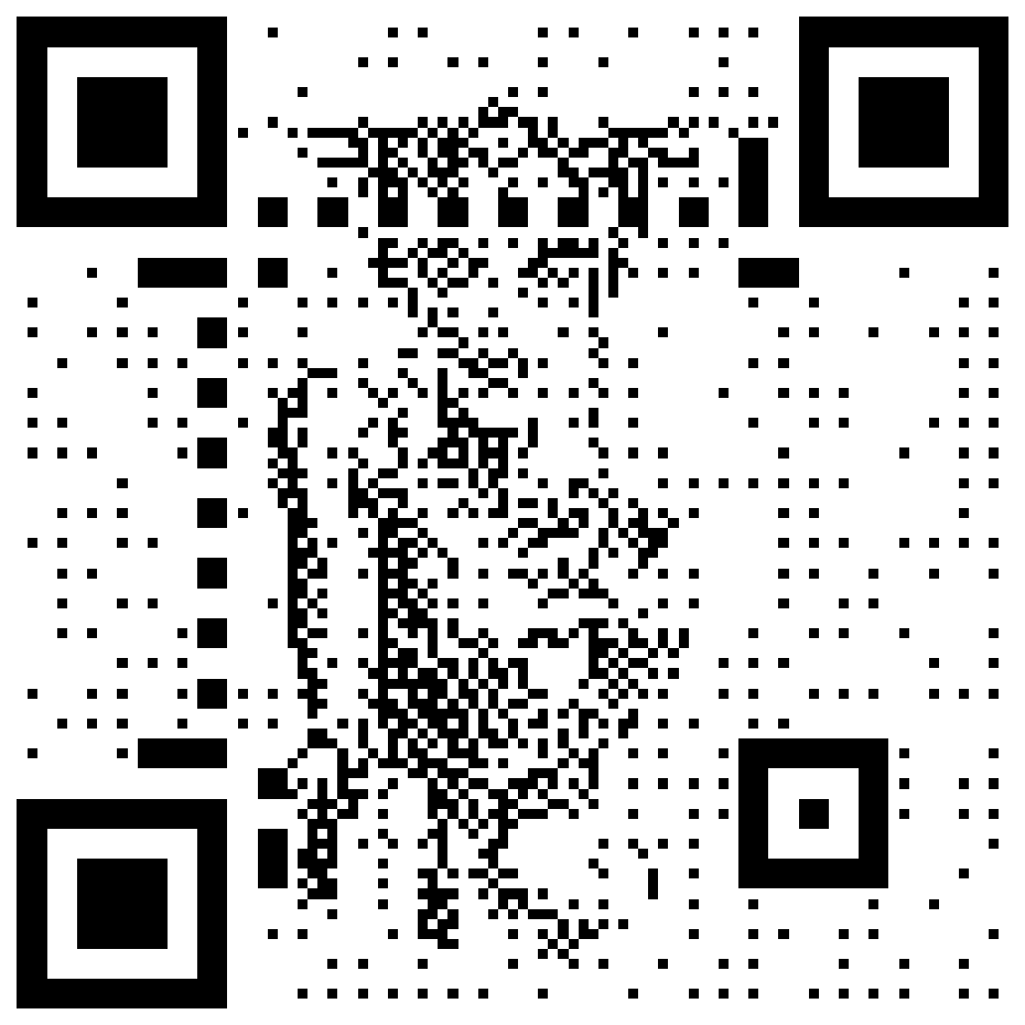 The Bride QR code for the Bride of Pinbot ruleset