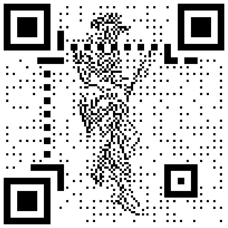 New World / Conquest 200 artwork QR code for the New World / Conquest 200 ruleset