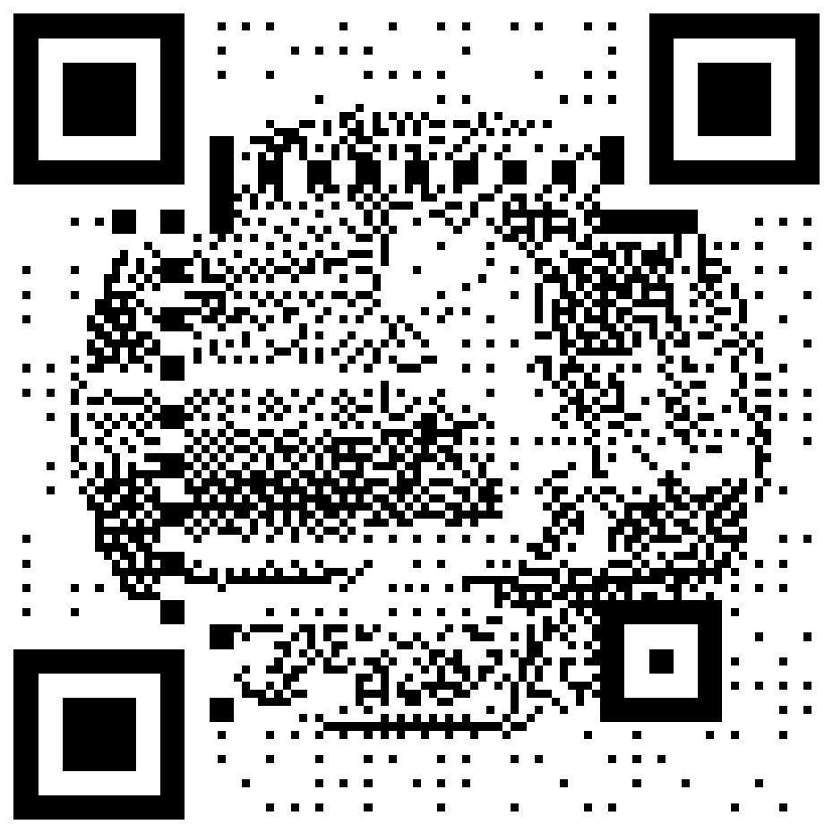 Doc Brown and Marty McFly QR code for the Back to the Future ruleset