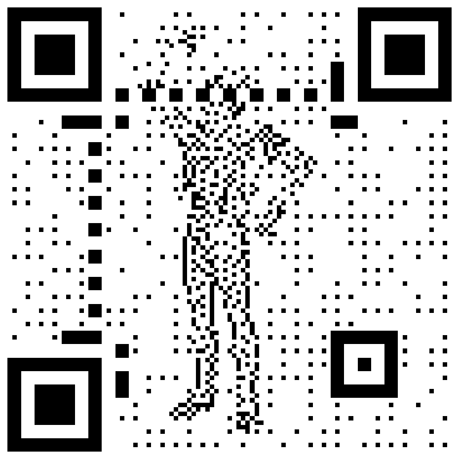 Matador QR code for the Valencia / Toledo ruleset