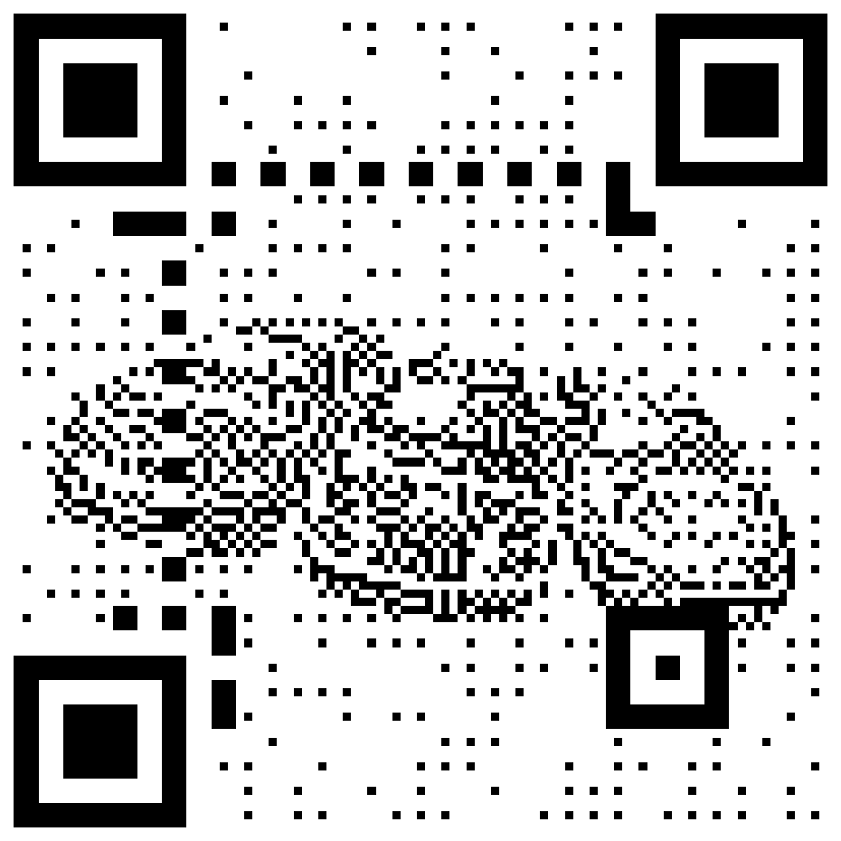 NASCAR stock cars QR code for the Nascar ruleset